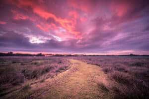 Spiritual voyage path through Wild natural landscape