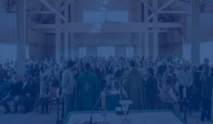 ASJA-MVD-Actividades