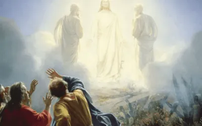 Sursum Corda – Rodrigo Domínguez