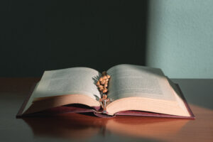 serie de predicas parroquial del huerto montevideo